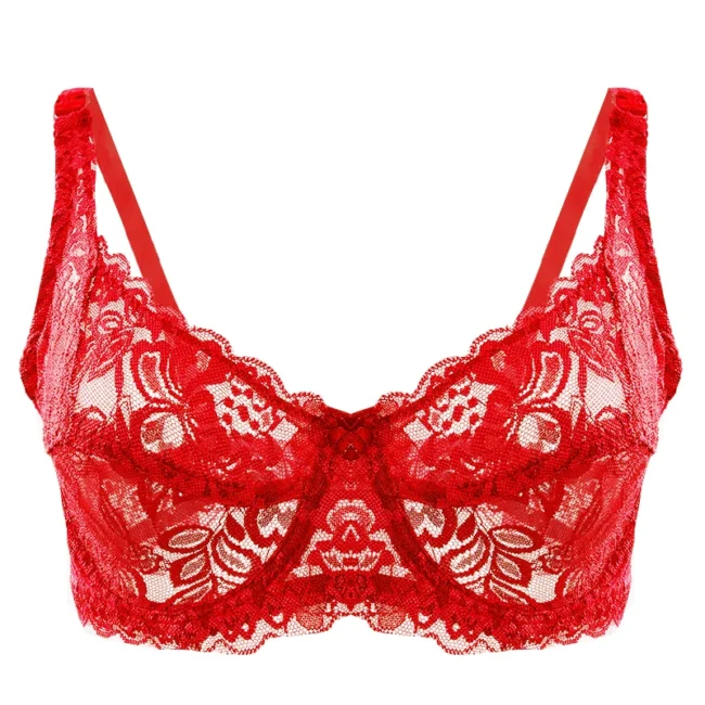 Women Lace Bra Plus Size Push Up Hollow Out Embroidery Bra Brassiere - Image 10