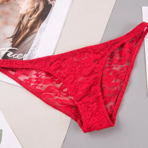 Women's Underwear Lace Panties Comfortable Briefs Low Waist Seamless